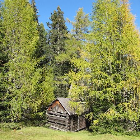 Pepis Ferienwohnungen Inklusive Sommercard Jerzens Esterno foto