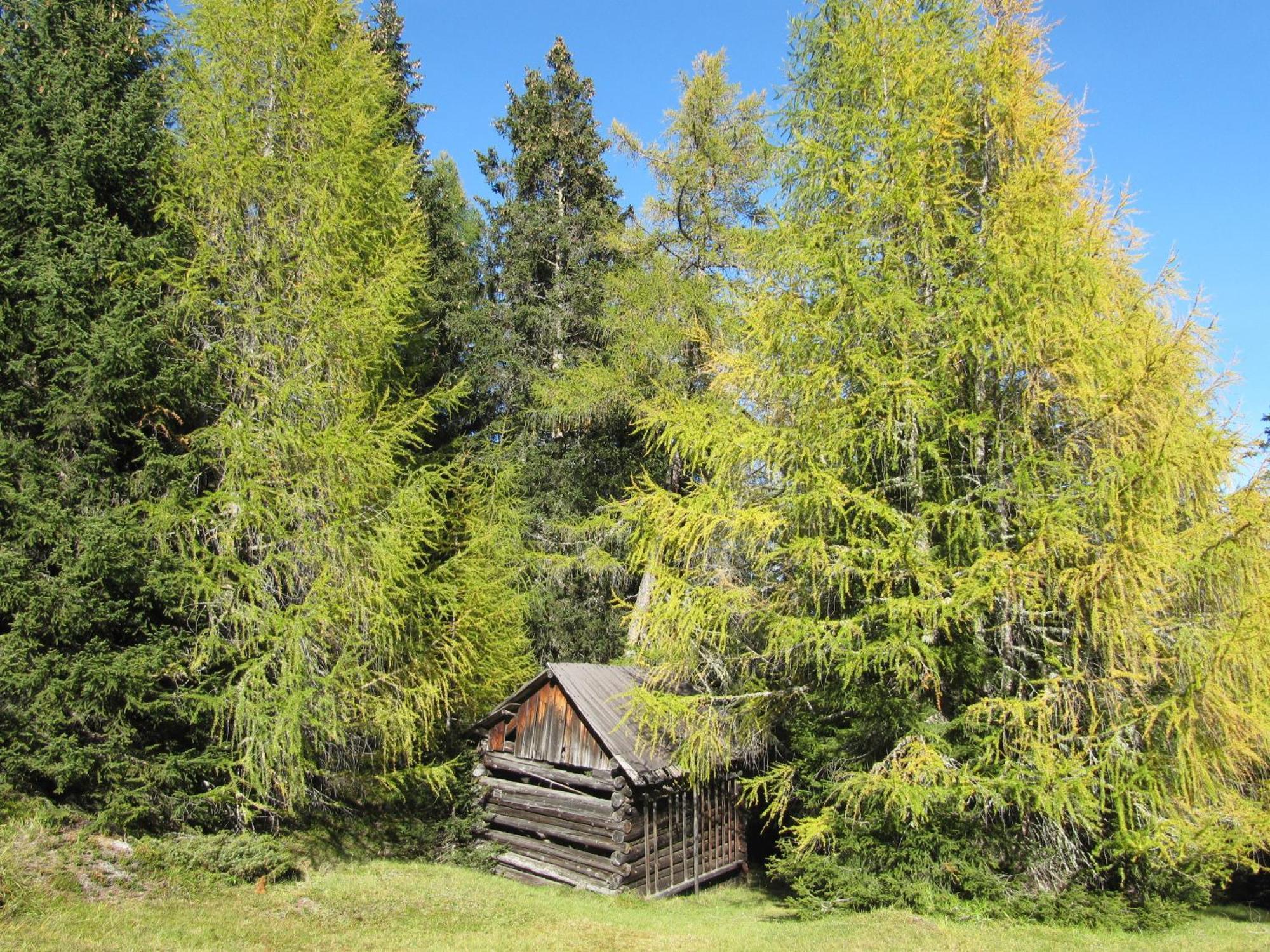 Pepis Ferienwohnungen Inklusive Sommercard Jerzens Esterno foto
